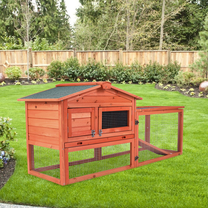 Tucker Murphy™ Pet Sotelo Walk In Chicken Coop with Chicken Run For Up